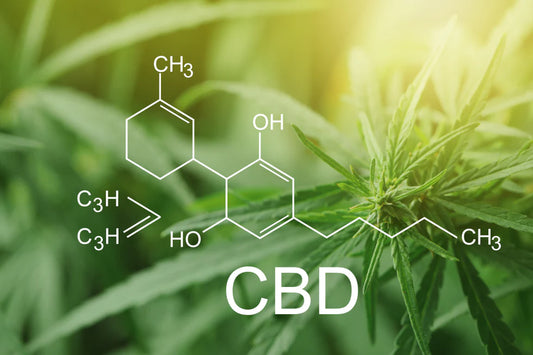 Five Key Benefits of CBD for Managing Chronic Pain