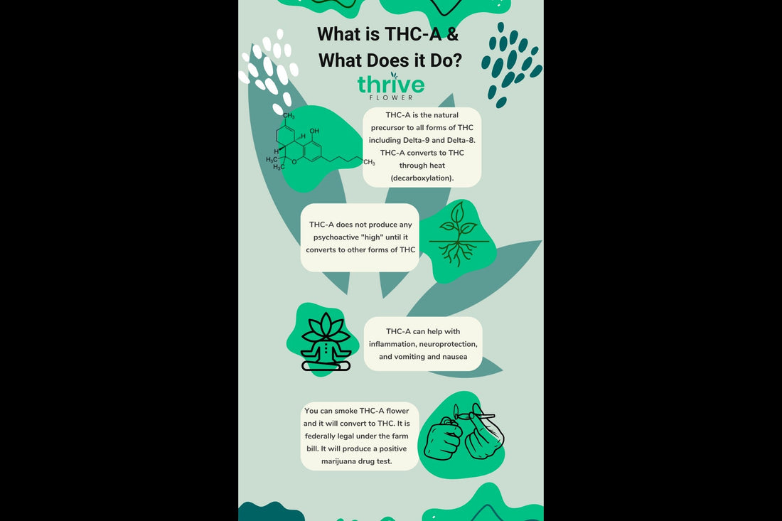 Unlocking the Therapeutic Potential of THCa
