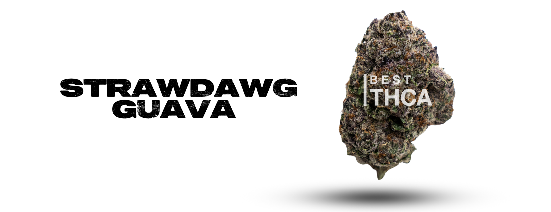 Starwdawg Guava Indoor Banner