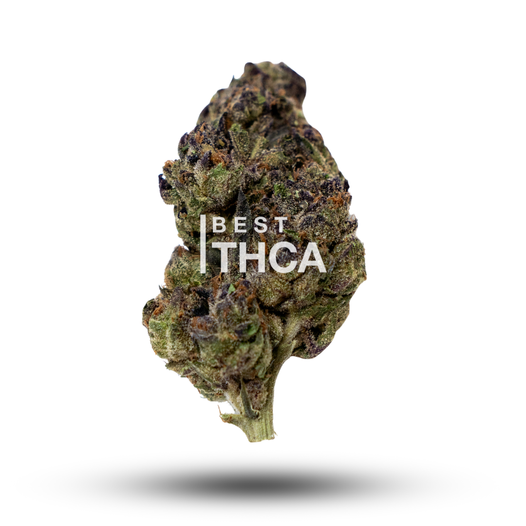 Gelato