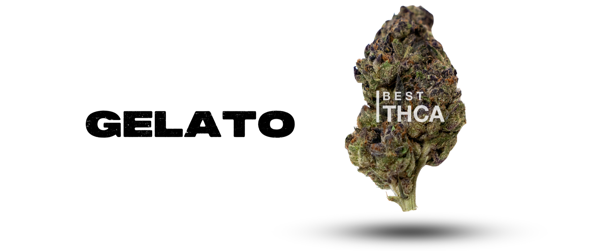 Gelato Banner