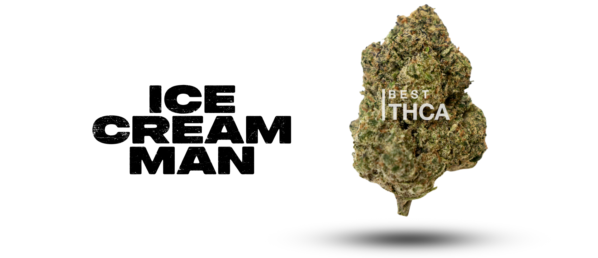 Ice Cream Man Banner