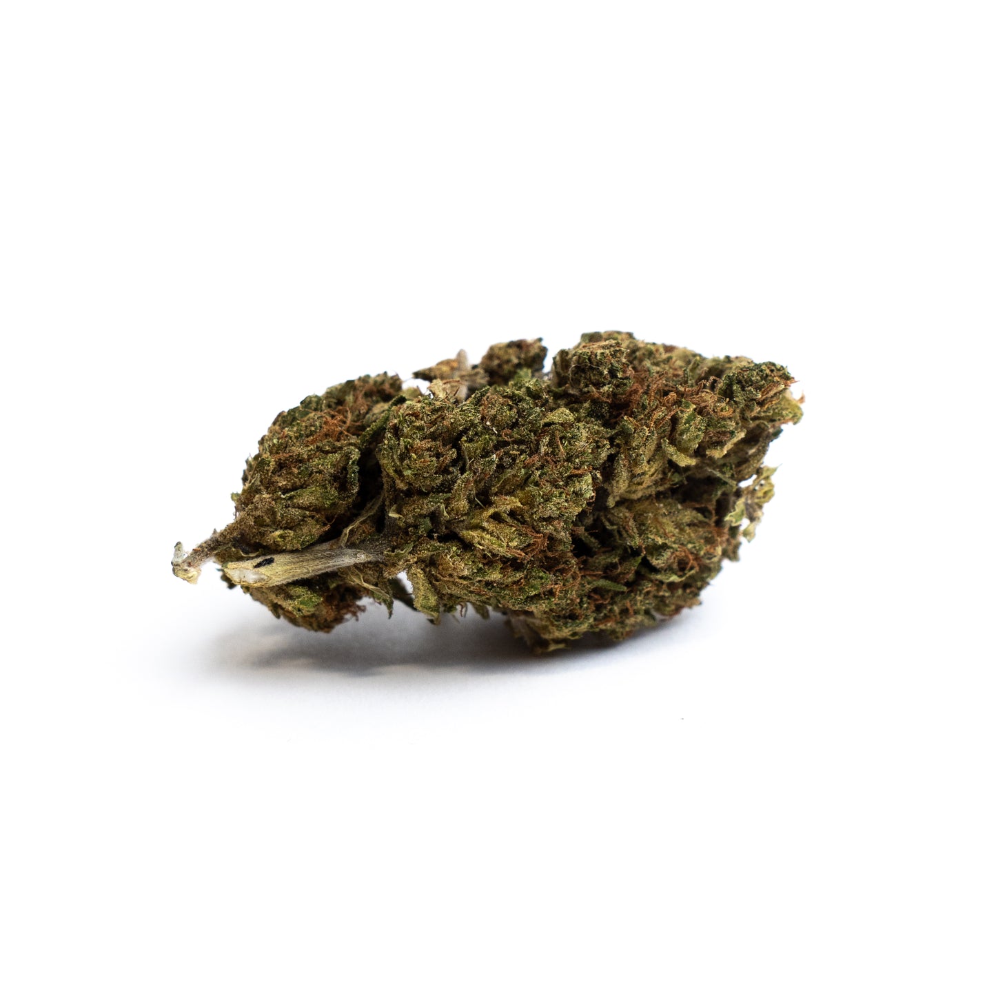 CBD Show Stopper