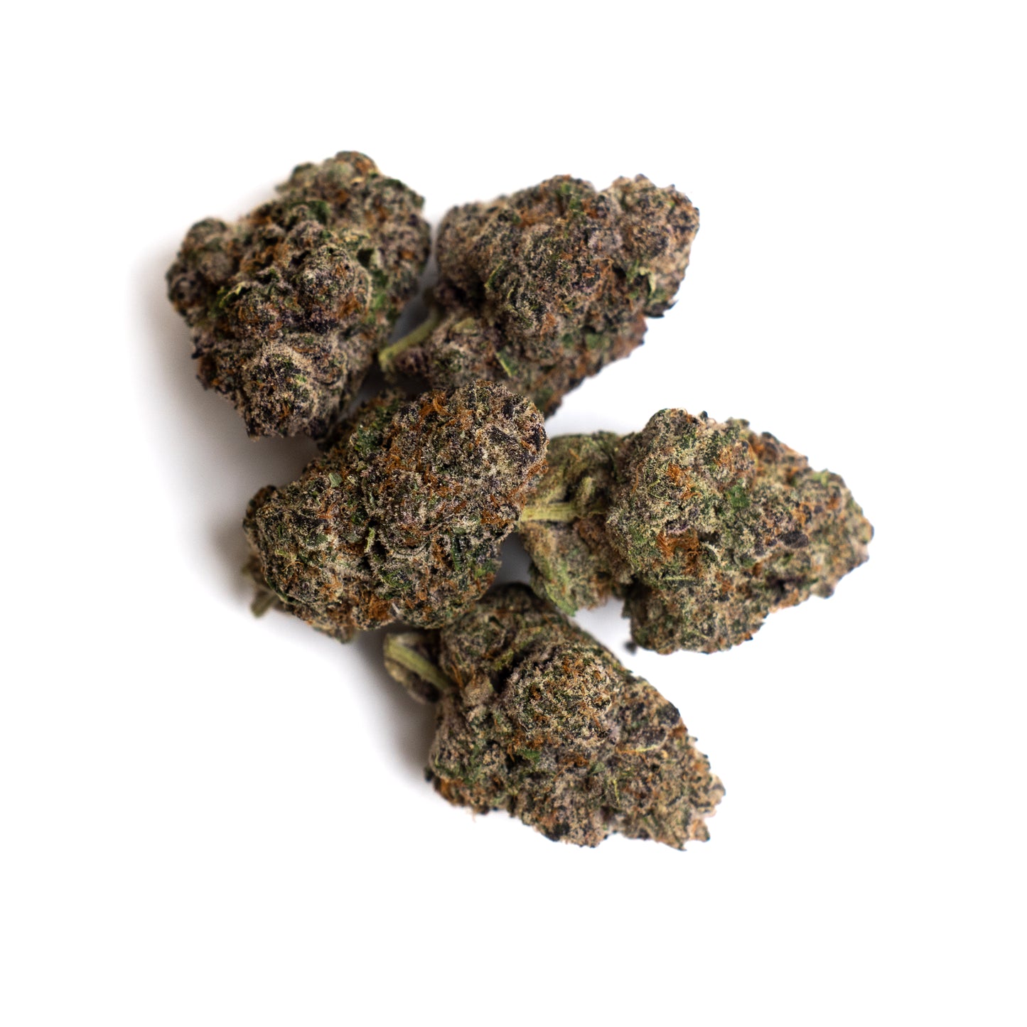Starwdawg Guava Indoor