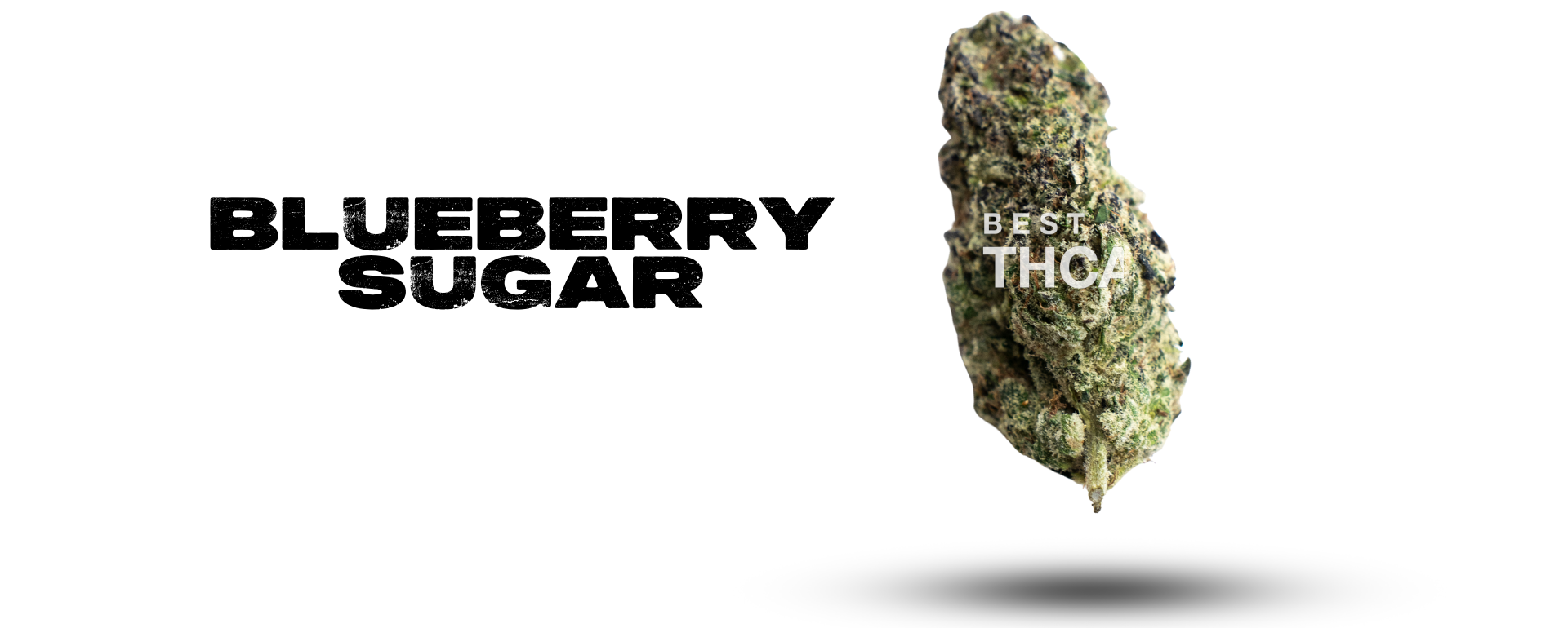 Blueberry Sugar Banner